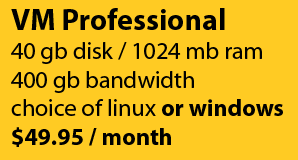 VM Professional: 40gb disk/1024mb ram/400gb bandwidth for $49.95/month